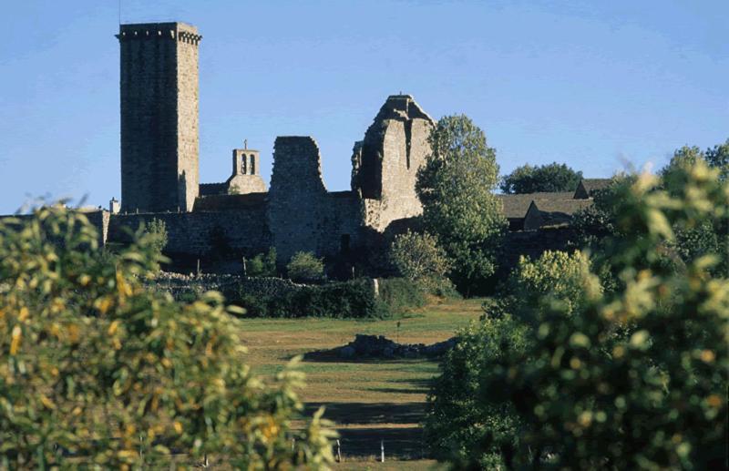 Gites En Cevennes "Chez Steloune" Genolhac المظهر الخارجي الصورة