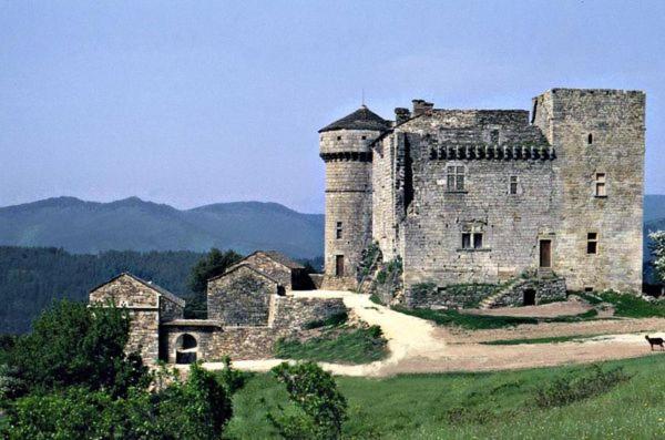 Gites En Cevennes "Chez Steloune" Genolhac المظهر الخارجي الصورة