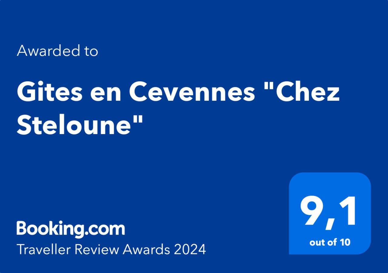 Gites En Cevennes "Chez Steloune" Genolhac المظهر الخارجي الصورة